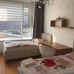 Downtown In The Heart Of The New Center, 4 Persons, Parking Apartment *